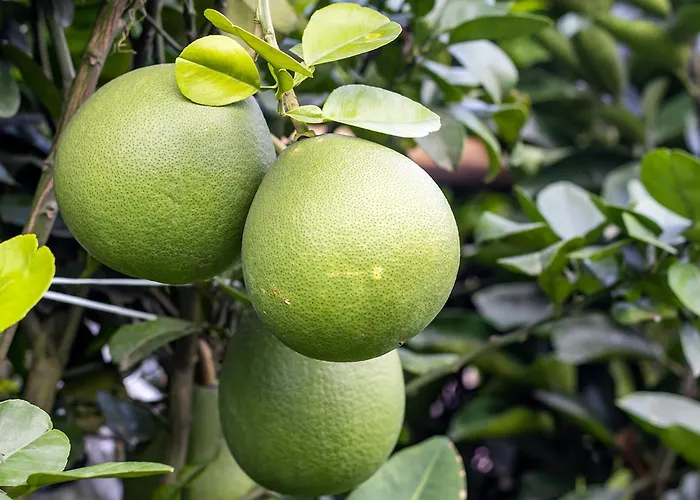 Golden Roof Hotel Ampang Ipoh